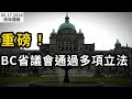 重磅！BC省議會通過多項立法；特魯多回應加情報局長告誡不要用Tiktok；厲害了！BC這夫婦每月買菜錢不到$450元；真離譜！有人在Costco拿着可樂杯子幹這事（《港灣播報》0517-2 CACC）