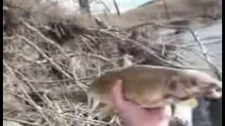 lets go fishing vid8,pt2,more rocky action