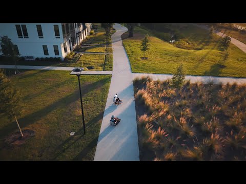 2 minutes and 12 seconds of cinematic crazy carting