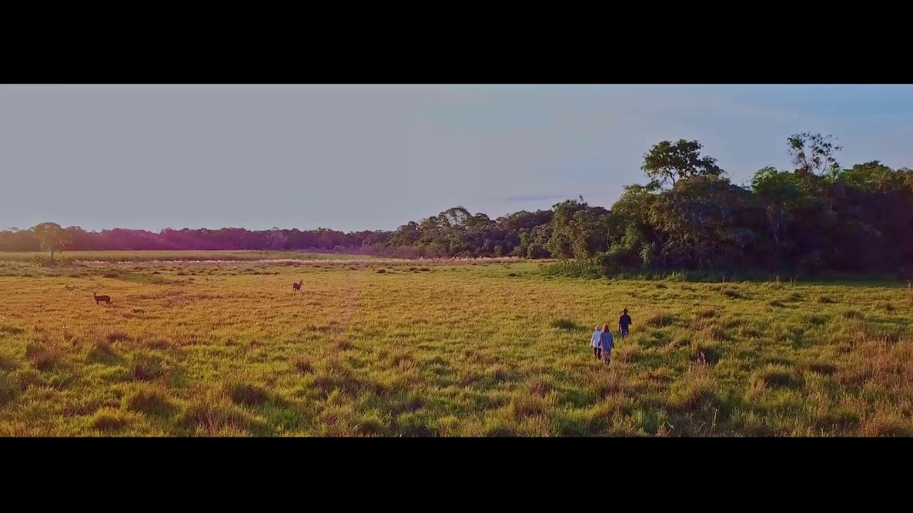 Walk and Hike the Pantanal with Brazil Pantanal Tours