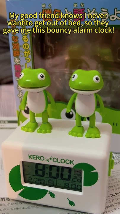 Look at this froggy alarm clock! #noveltytoys #gift #goodthing - YouTube
