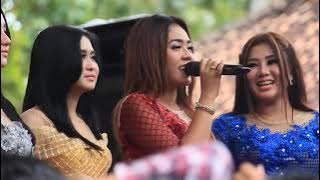 FULL ALBUM NEW PALLAPA IRENG COMMUNITY, GEMBLUNG SUKOLILO PATI 2018