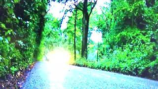 Dogged Movie Trailer 2018