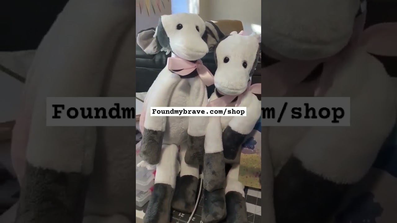 Cyber Monday sale ends tonight! Foundmybrave.com/shop