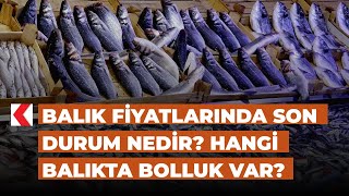 Balık Fiyatlarında Son Durum Nedir? Hangi Balıkta Bolluk Var?
