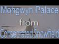How To Get To Mohgwyn Palace From Consecrated Snowfields in Elden Ring!