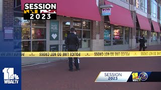 Bill would require Maryland security guards to get state license