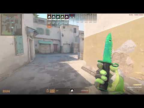 tN1R POV against Falcons on Dust2