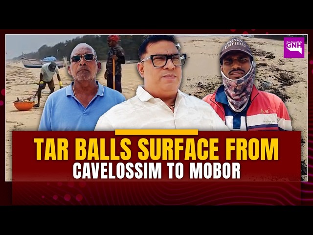 Tar Balls surface from Cavelossim to Mobor