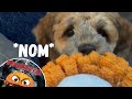 300 Subscriber Special!