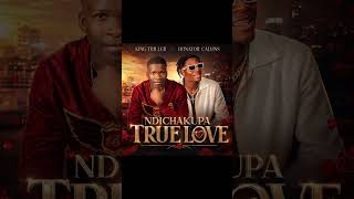 King Triller ft Donator Calvins- Ndichakupa True Love (Official Audio) 