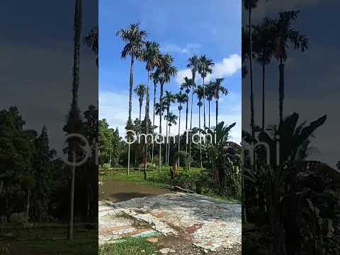 Omah Tani ku