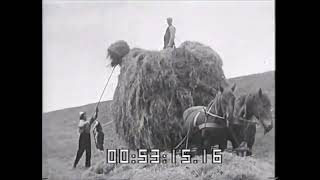 2 Landbouwfilm 1940 Werkzaamheden in den VoorZomer