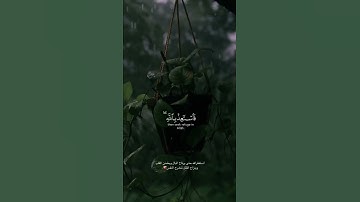 القارئ محمد البيتي ((سورة فصلت))