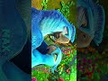 🌈 Bird Friends Fun Adventure 🎬 #anime #animeedit #aesthetic #animelover #edit #otaku #forkids
