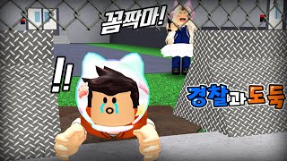 [로블록스]경찰과도둑! 감옥에서 탈옥해서 복수해요!! (단미호 김리하)