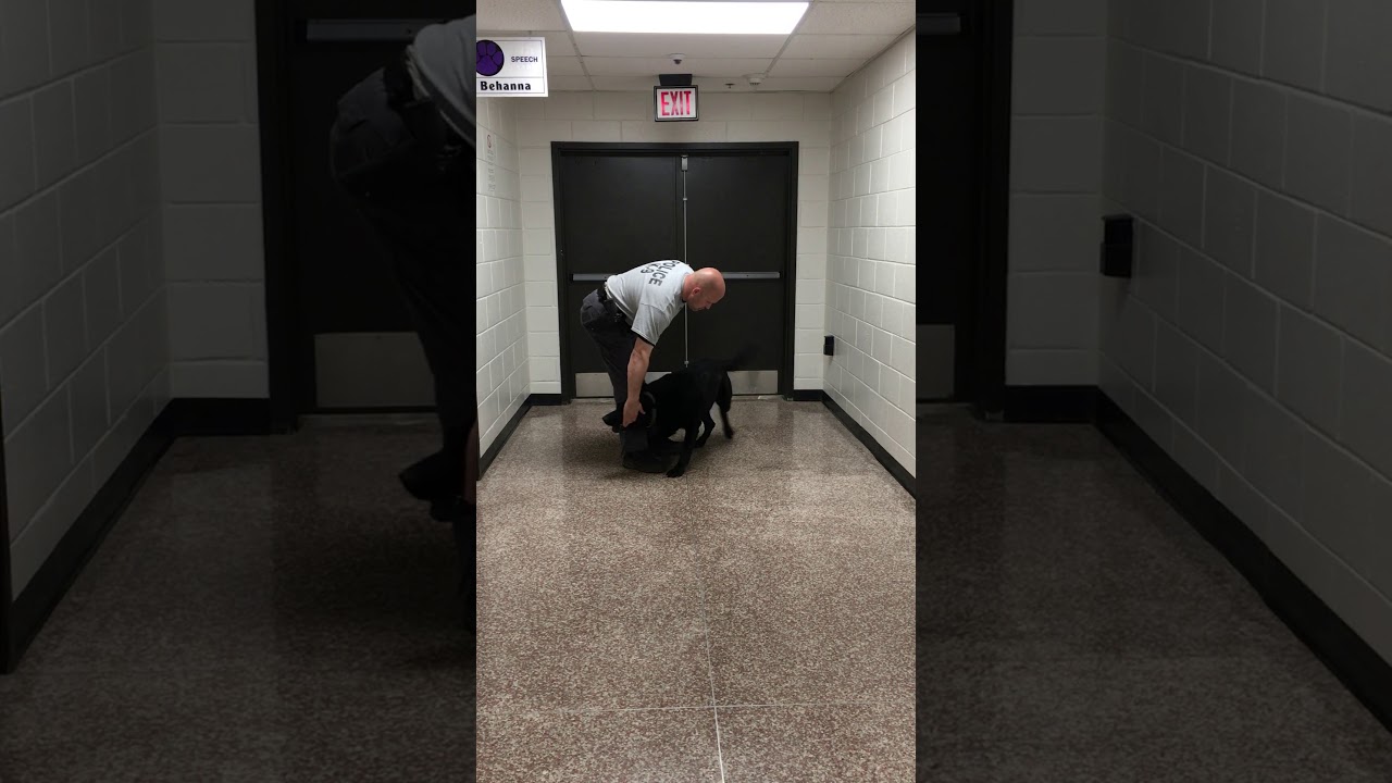 K9 Training at Chattahoochee Elementary School YouTube