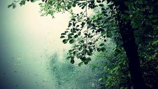 Celebrity Bones x ruby da cherry type beat - Branches (free) Net Worth