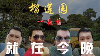 马来西亚榴莲 I 马来西亚猫山王榴莲 I 文冬猫山王榴莲【一夜情】