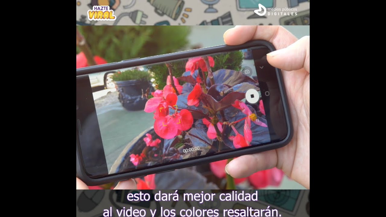 Hazte Viral: 5 consejos para grabar mejores videos con tu celular - YouTube