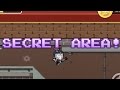 ALL Secret Areas 8-4-2 - Dan The Man #9