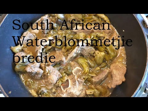 Waterblommetjie bredie - A unique dish from the Boland and West coast ...