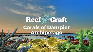 Corals Species of the Dampier Archipelago