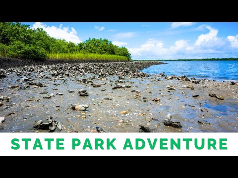 Anastasia State Park highlights