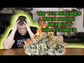 Top TEN MISTAKES when buying HIGH END STATUES AND COLLECTIBLES!