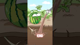 What's the secret to making yellow-fleshed watermelons sweeter?#shorts #funny #hot