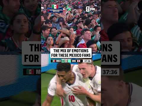 Mexico fans are going through a rollercoaster of emotions in this first half