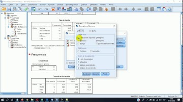 analisis de datos descriptivos spss