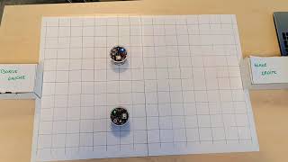 e-puck2 consensus en ligne