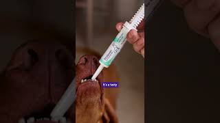 Protexin Veterinary - Pro-Kolin Advanced Protexin Veterinary - Pro-Kolin Advanced