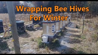 Wrapping Bee Hives for winter