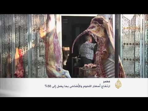ارتفاع كبير بأسعار اللحوم والأضاحى في مصر