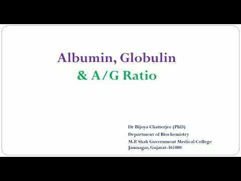 Albumin, Globulin and A/G Ratio