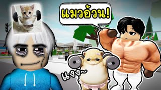 บังคับแมว ออกกำลังกาย! (เจ้าของโหด)😿😭 Roblox Brookhaven 🏡RP screenshot 4
