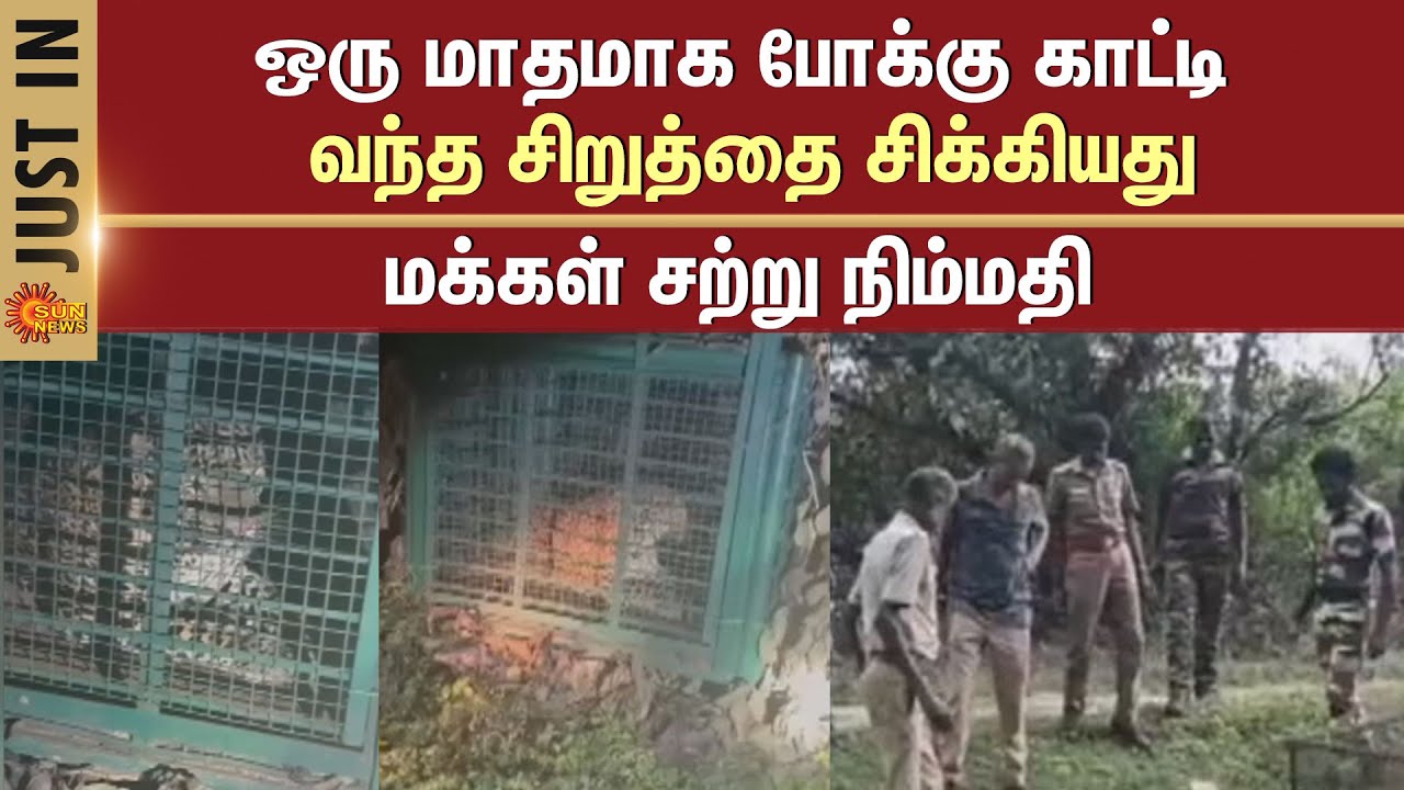 Leopard Captured by Foresters in Pollachi | Forest Department | Sun News