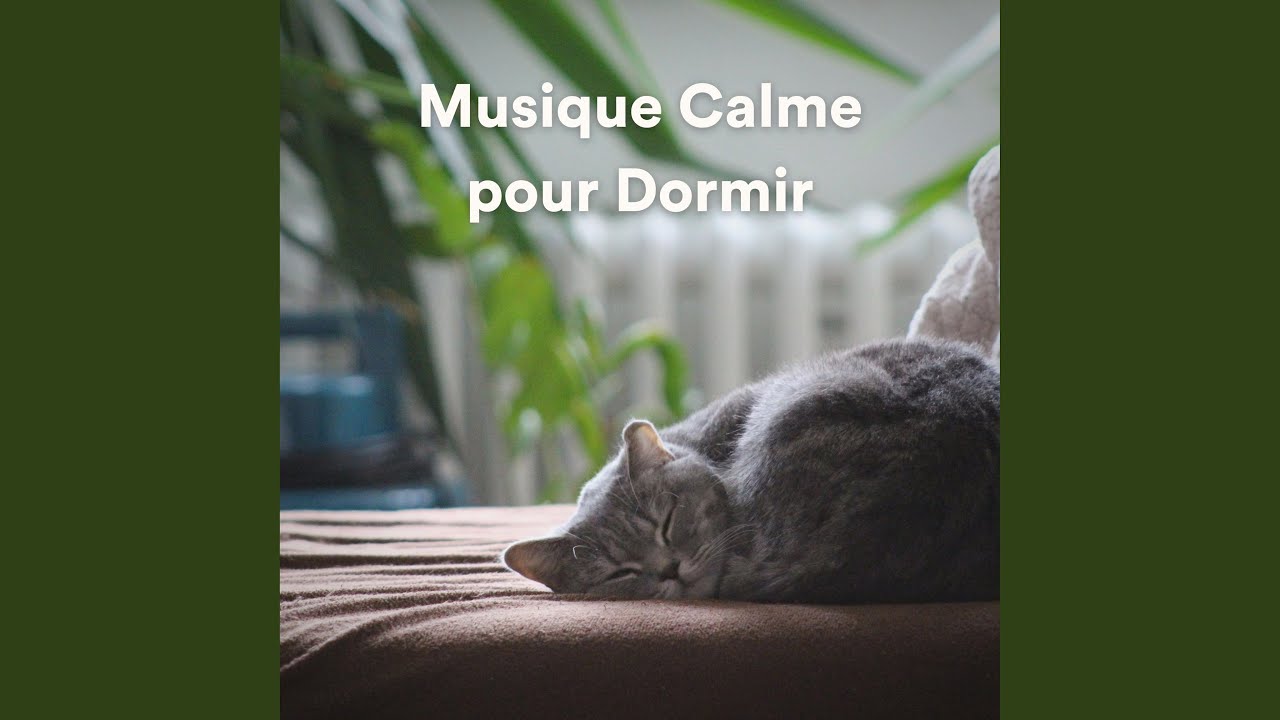 Musique Calme Pour Travailler - YouTube