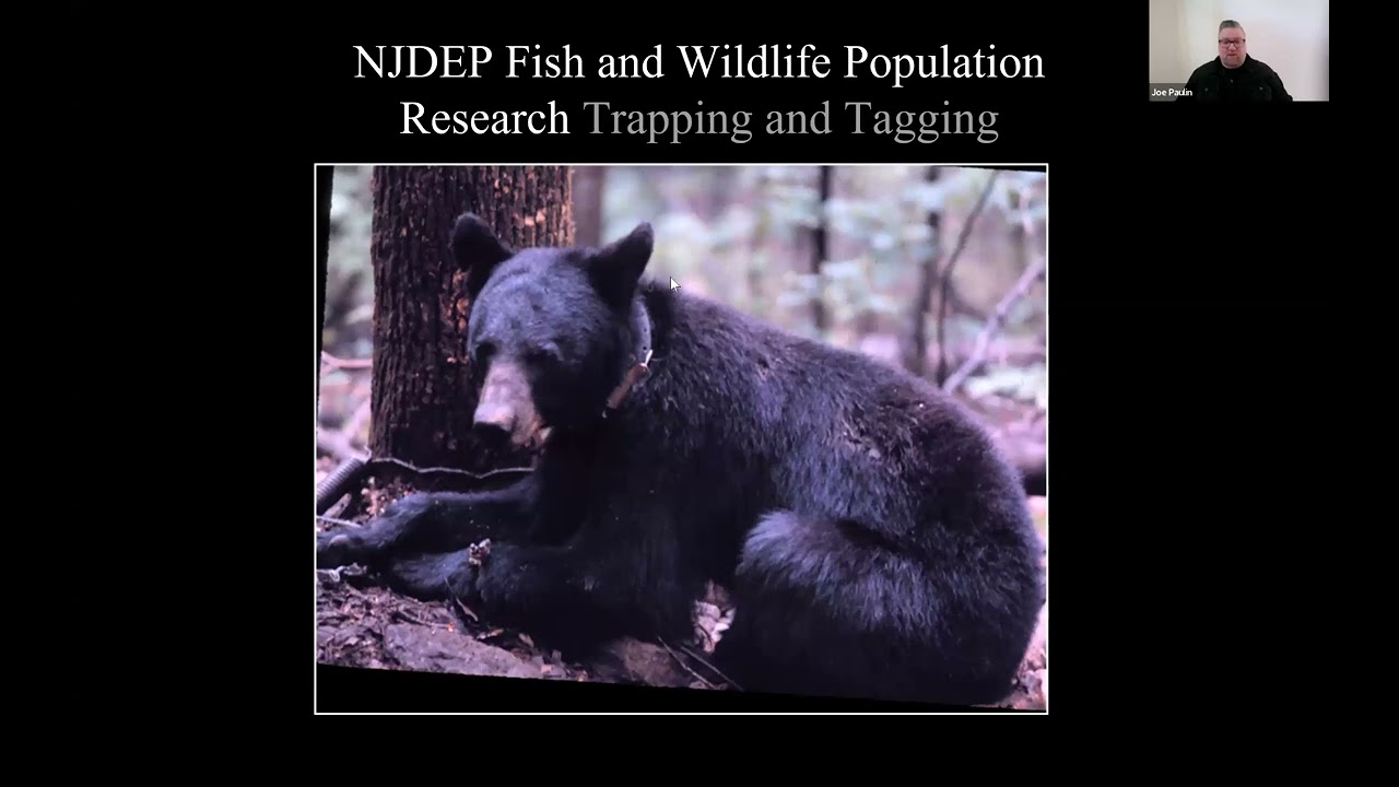 The Influence of Personal Experiences on Perceptions of Black Bears in New Jersey