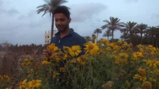 DSCF3717
