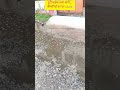 🚨 सड़क पर गंदा पानी = बीमारी का खतरा! 🔥😡#publicproblems #cleanindia #fixourroads #shorts