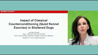 Maddie’s Insights Impact of Classical Counterconditioning on Barking in Shelter Dogs  webcast