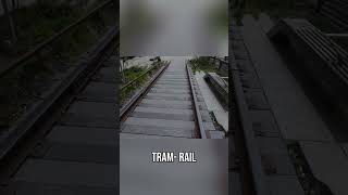 High Line: From Old Train Tracks to Vibrant Public Park #shorts