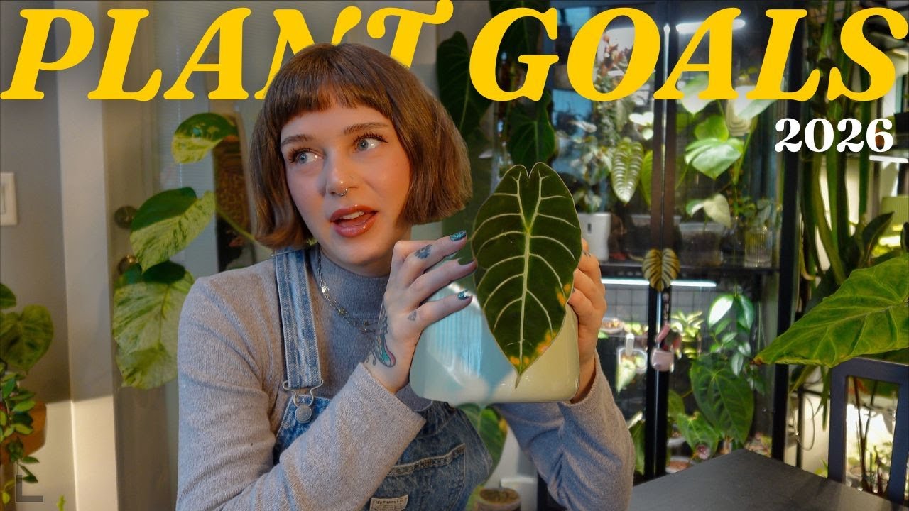 growing goals for 2026 🌿 plant glow ups, what i want to work on, etc.