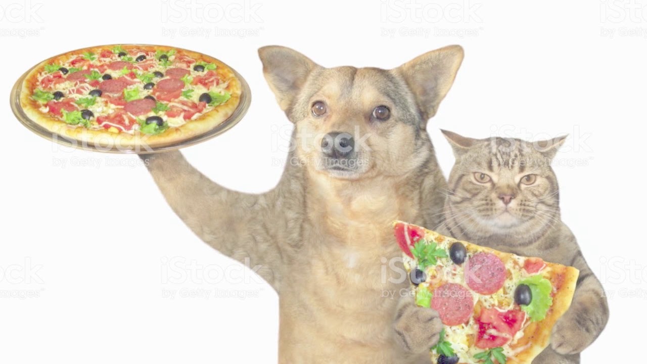 12 Minute Affiliate System