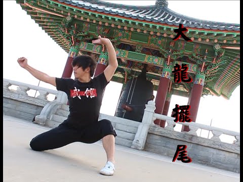 DRAGON WHIPS CAUDA TUTORIAL 大 龍 擺 尾