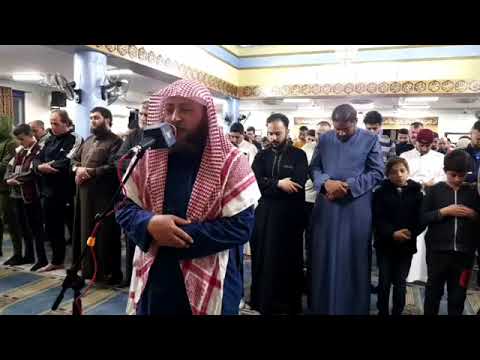 قراءة هادئة للقارئ حمزة الفار رمضان 2023