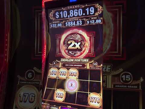 Dedo - Salsa Kings Homestead Class 7/31/25 馃拑馃暫馃憫馃幍馃槉馃憤 Salsa Casino